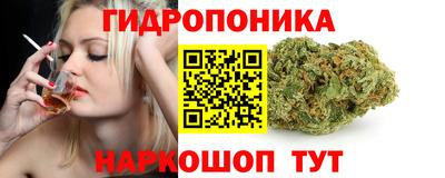 a pvp Бердск