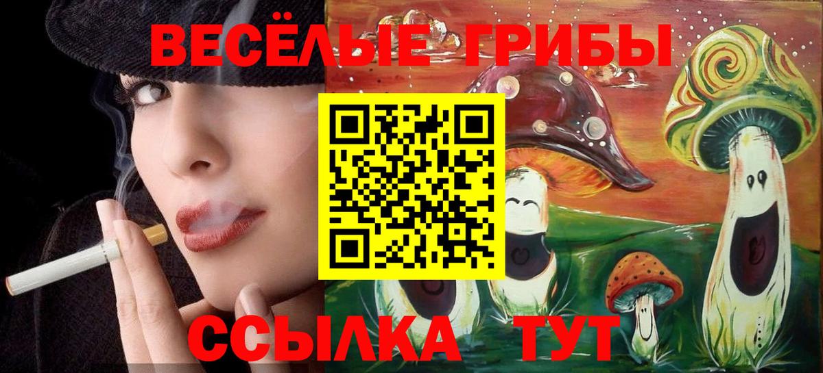 Псилоцибиновые грибы Psilocybine cubensis  Галлюциногенные грибы Psilocybine cubensis  Михайловка  Вход с VPN 
